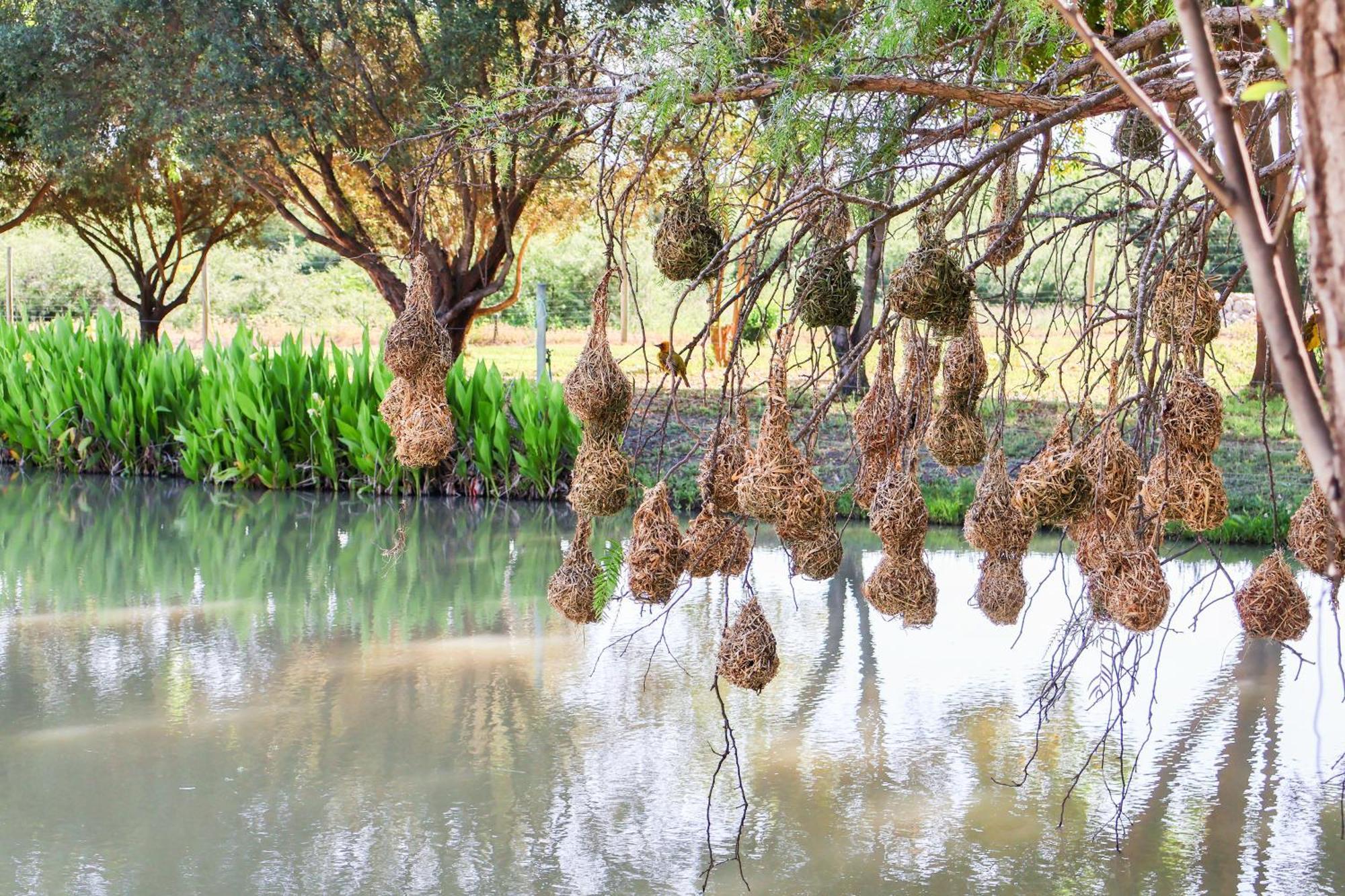 De Old Drift Guest Farm Βίλα Addo Εξωτερικό φωτογραφία