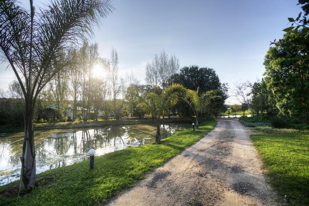 De Old Drift Guest Farm Βίλα Addo Εξωτερικό φωτογραφία
