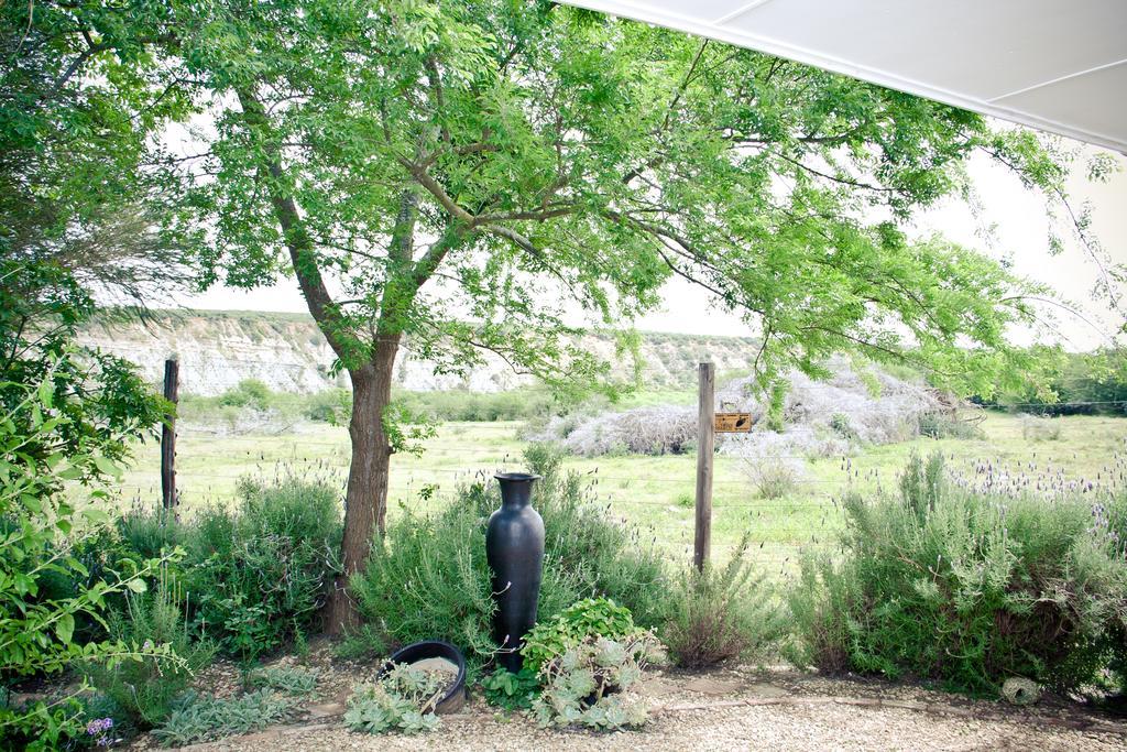 De Old Drift Guest Farm Βίλα Addo Εξωτερικό φωτογραφία