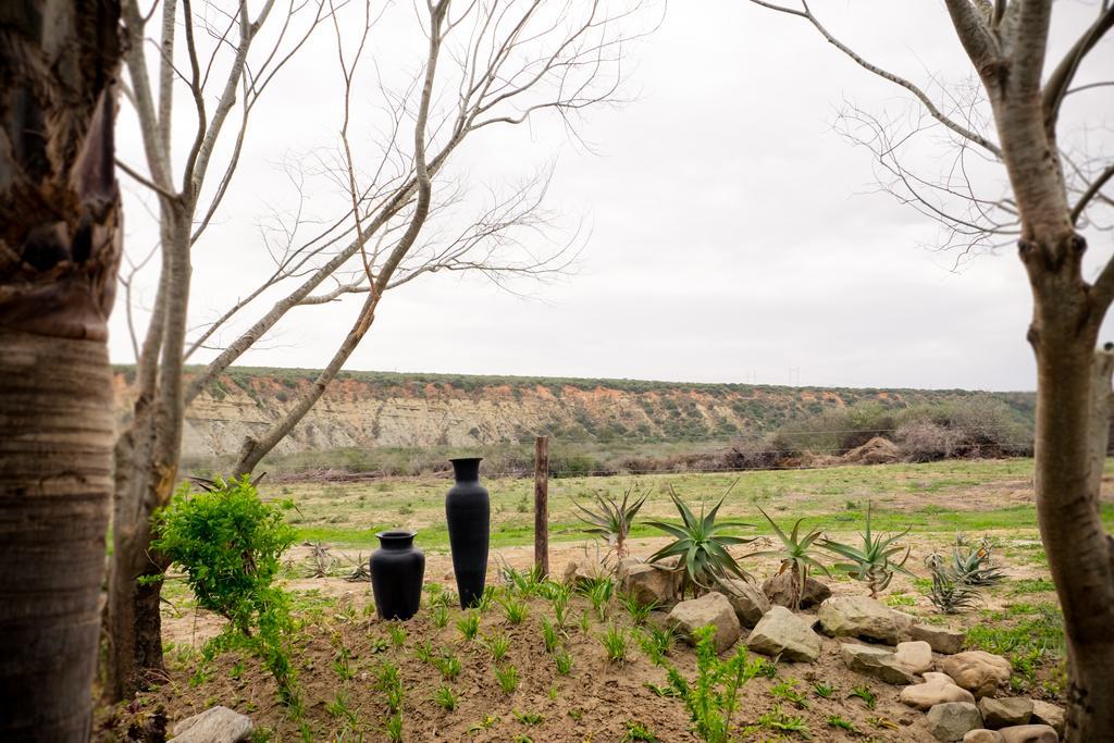 De Old Drift Guest Farm Βίλα Addo Εξωτερικό φωτογραφία