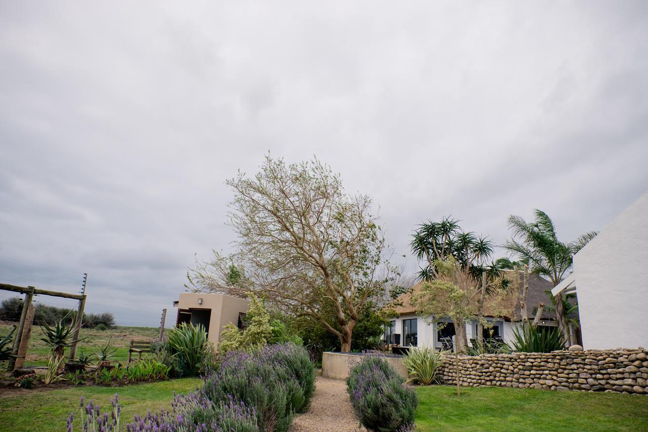 De Old Drift Guest Farm Βίλα Addo Εξωτερικό φωτογραφία
