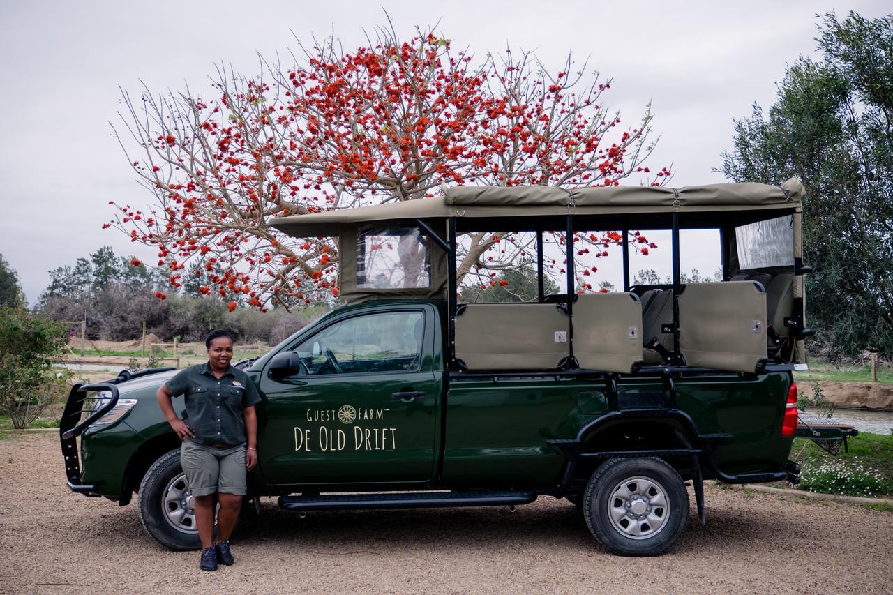De Old Drift Guest Farm Βίλα Addo Εξωτερικό φωτογραφία